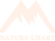 Nature Chart